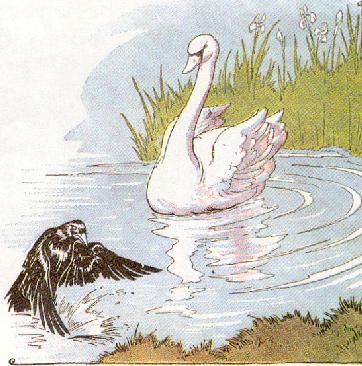 The Raven and The Swan - Aesop
